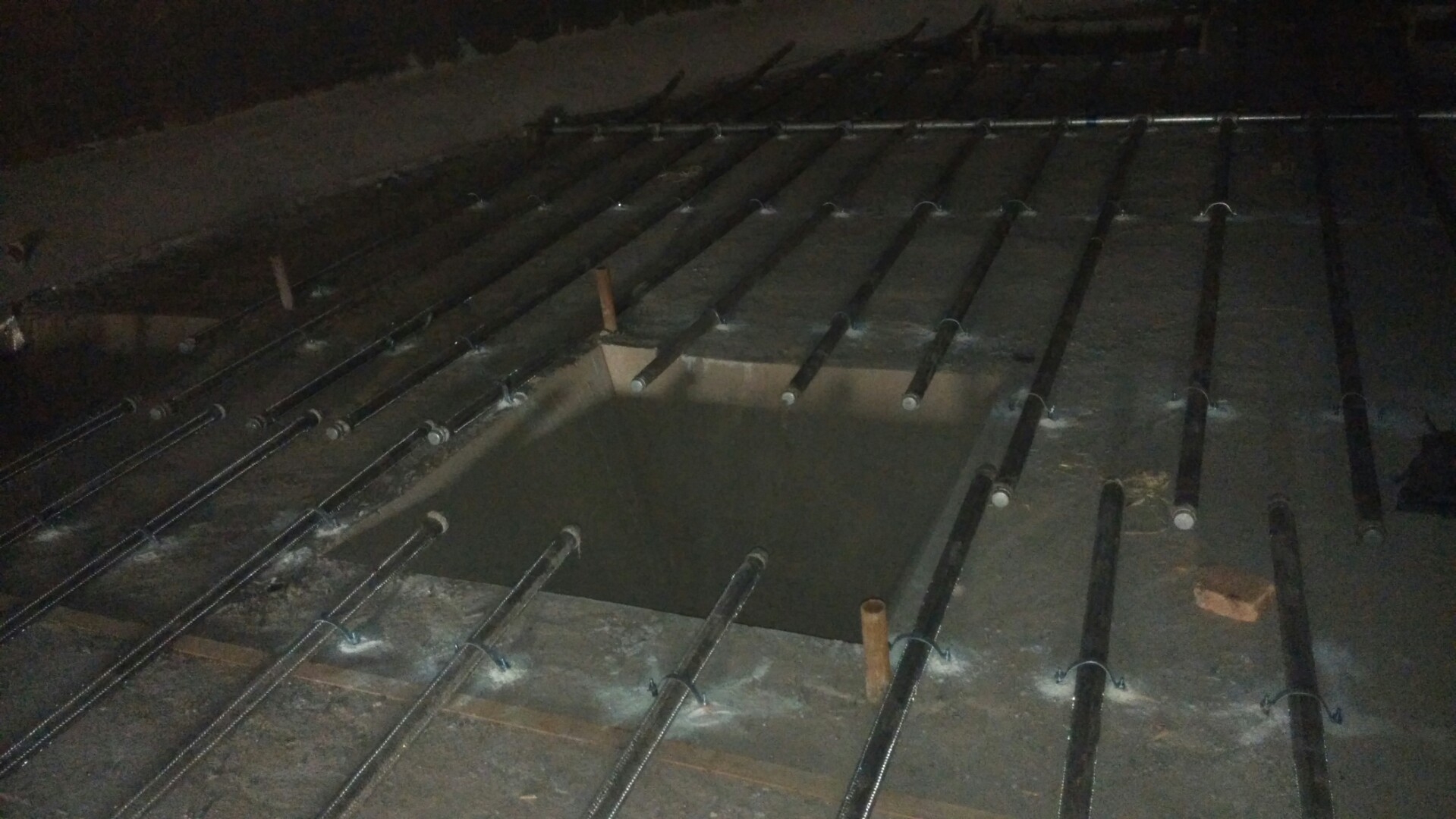 赵西垸林场流化棒