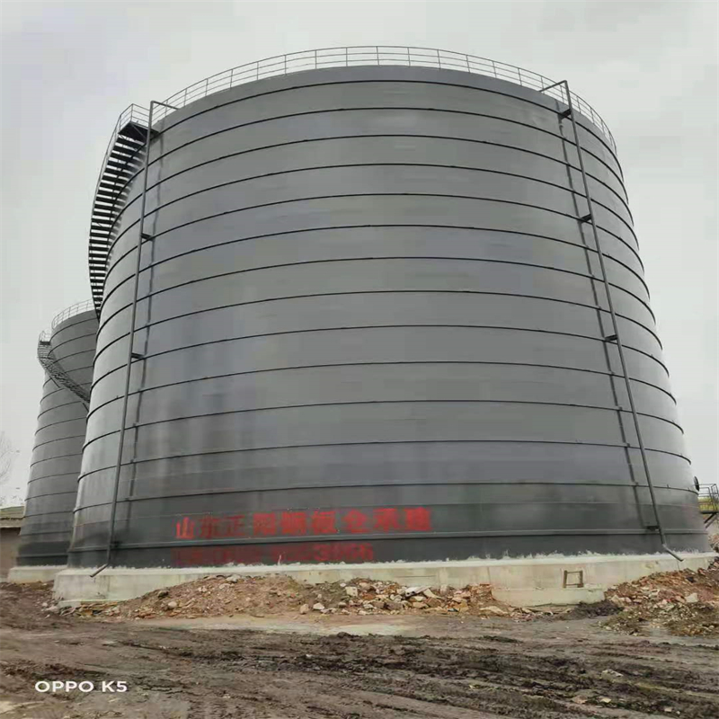 赵西垸林场3万吨大型钢板库