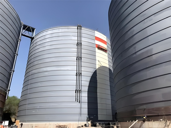 赵西垸林场焦粉仓